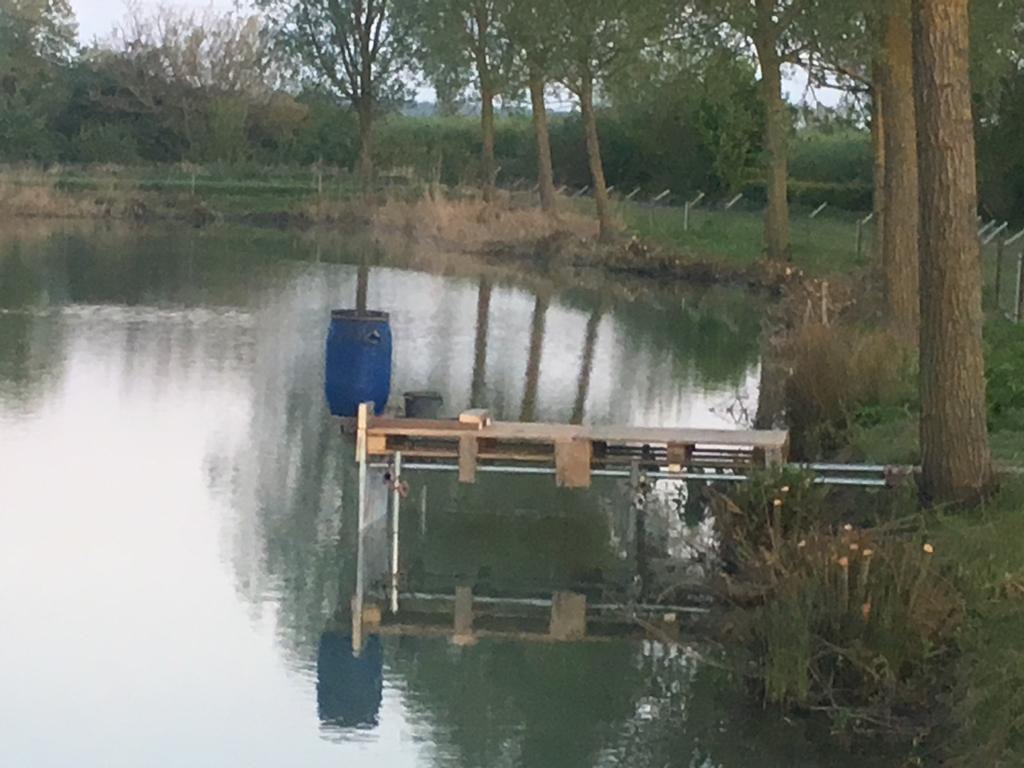 Automatic Fish Feeders